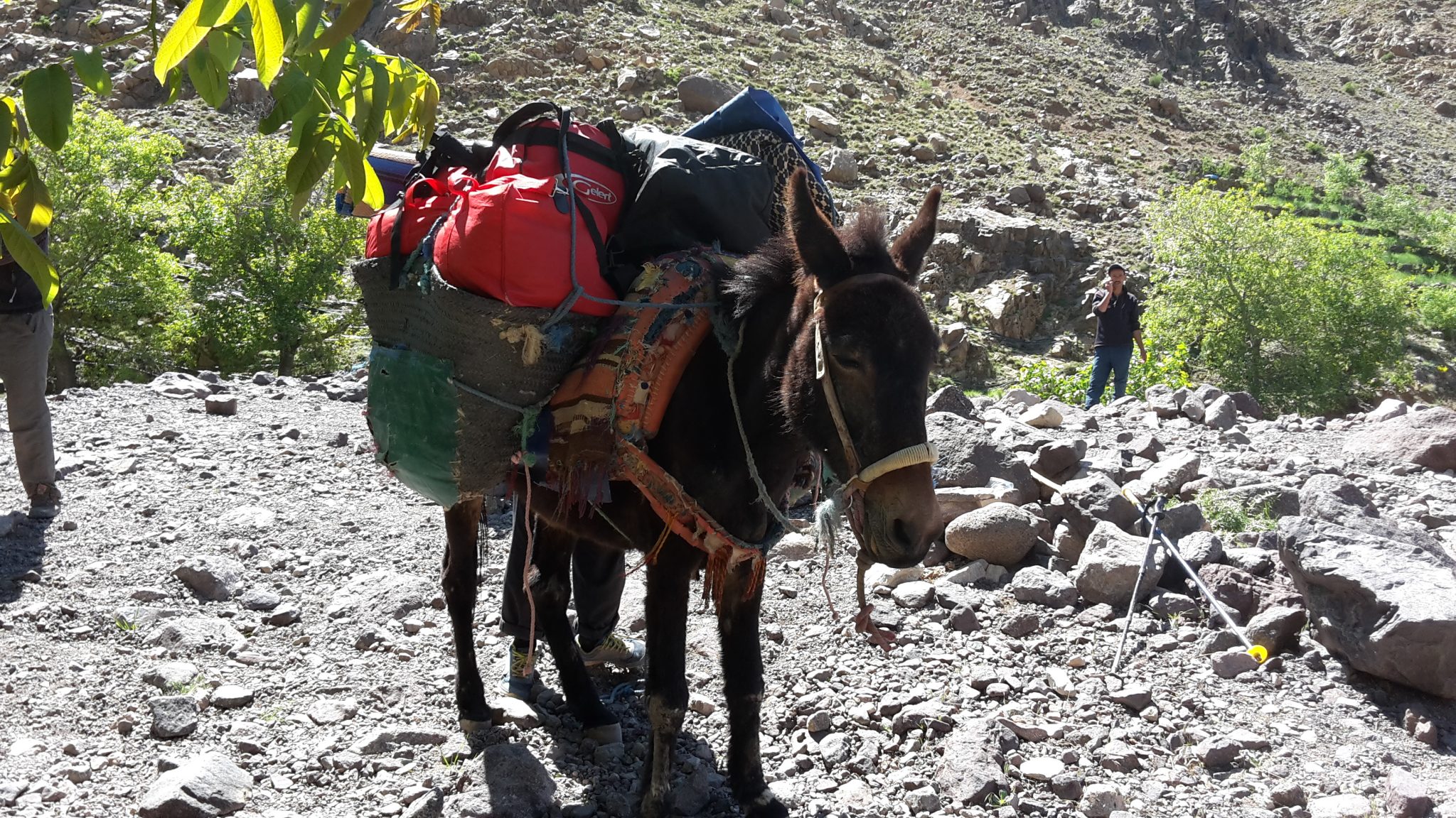 trektocht Marokko