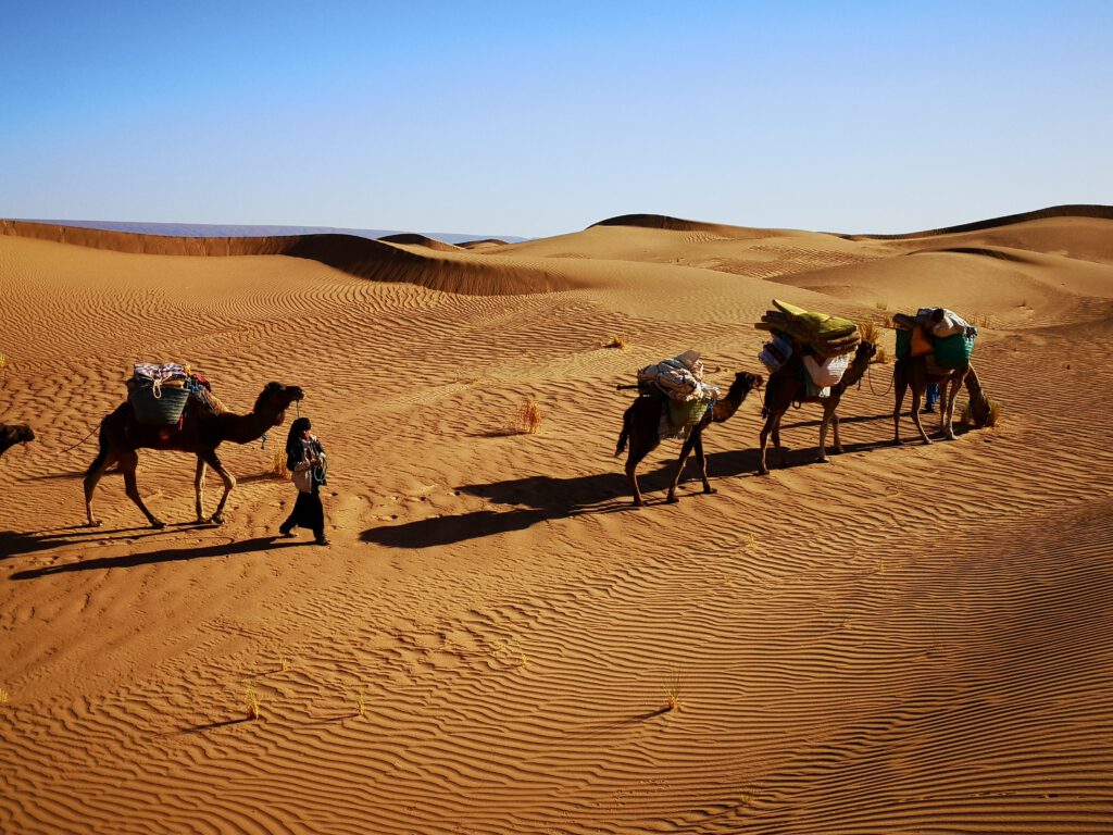 bezinningsreis woestijnretraite Sahara