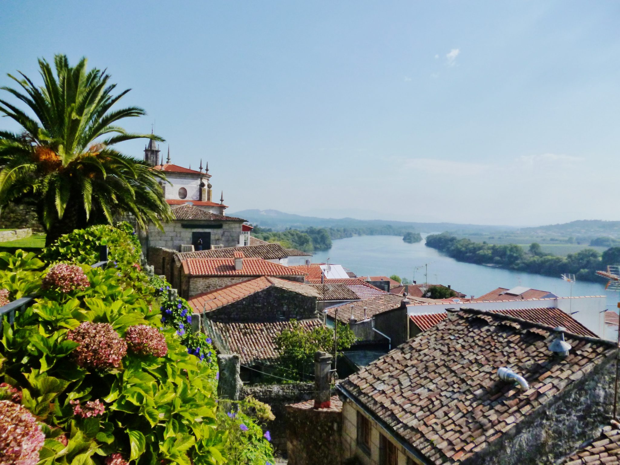 campagnebeeld camino Portugues