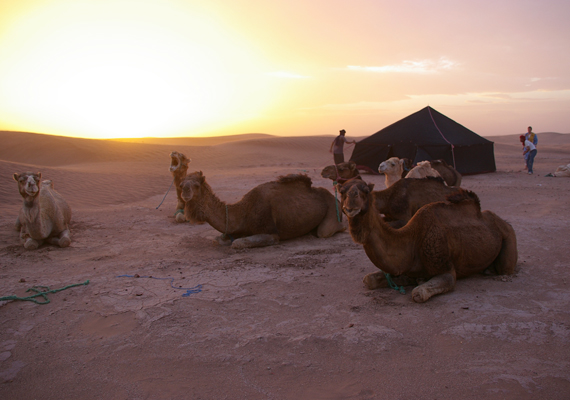 bezinningsreis woestijn-retraîte Sahara